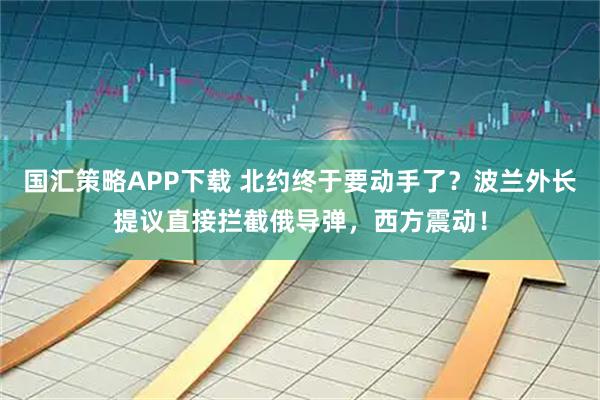 国汇策略APP下载 北约终于要动手了？波兰外长提议直接拦截俄导弹，西方震动！