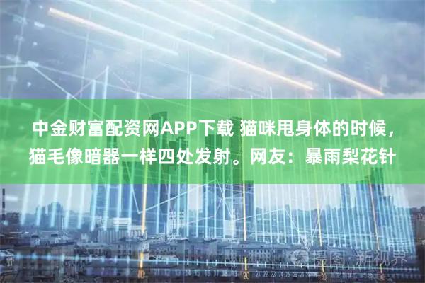 中金财富配资网APP下载 猫咪甩身体的时候,猫毛像暗器一样四处发射。网友:暴雨梨花针