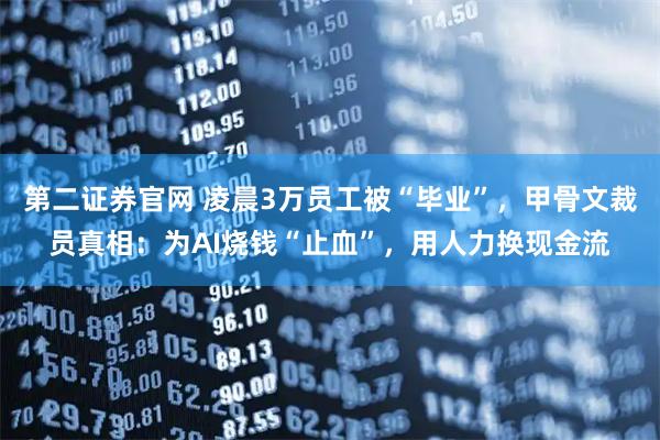 第二证券官网 凌晨3万员工被“毕业”，甲骨文裁员真相：为AI烧钱“止血”，用人力换现金流