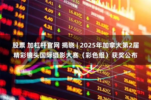 股票 加杠杆官网 揭晓 | 2025年加拿大第2届精彩镜头国际摄影大赛（彩色组）获奖公布