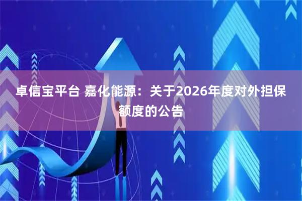 卓信宝平台 嘉化能源：关于2026年度对外担保额度的公告